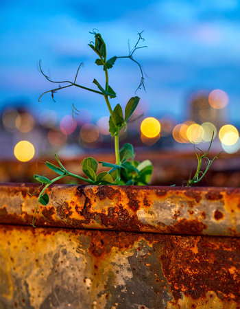 A delicate green sprout emerges from a corroded, rusty beam, a powerful symbol of hope and resilience.の素材
