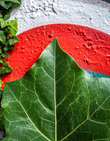 A single, vibrant green ivy leaf stands out in sharp relief against a textured urban wall painted with a bold red circle.の素材