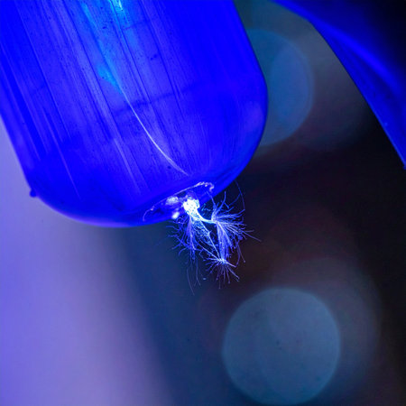 In the deep, silent blue, a tiny, ethereal lifeform emerges, its delicate tentacles glowing with an otherworldly light.の素材