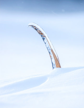 In the quiet aftermath of a heavy blizzard, a mysterious curved object emerges from a deep snowdrift.の素材