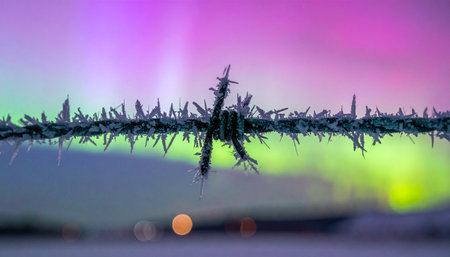 A sharp line of barbed wire stands in stark silhouette, a harsh symbol of confinement and restriction.の素材