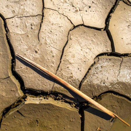 A single, forgotten feather rests upon the sun-baked, cracked earth of a dry lakebed.の素材