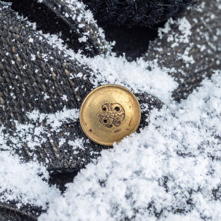 A single, ornate golden button rests on a snow-dusted, dark surface. A lost treasure from a forgotten coat, it glints against the cold, telling a silent story of journeys past and winters endured.の素材