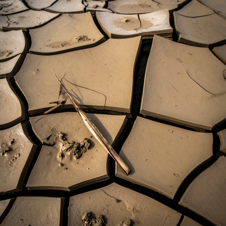 A close-up view reveals the intricate, geometric patterns of a sun-baked mudflat.の素材