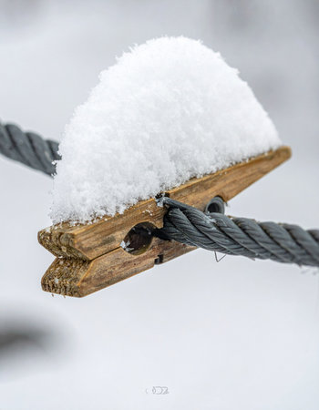 A close-up macro shot captures the quiet stillness of a winter day.の素材