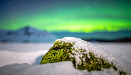 In the quiet stillness of a Nordic winter night, the vibrant green aurora borealis illuminates a serene landscape.の素材