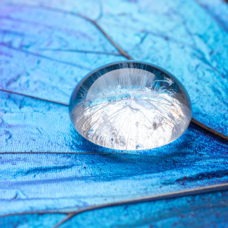 A perfect, crystal-clear water droplet rests on the intricate veins of a vibrant blue leaf.の素材