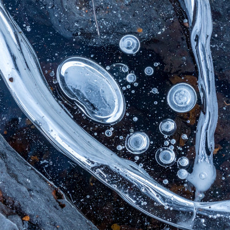 A captivating macro view reveals a hidden world beneath the surface of a frozen pond.の素材