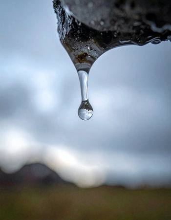 A single, perfect droplet of water hangs suspended in a moment of pure clarity.の素材