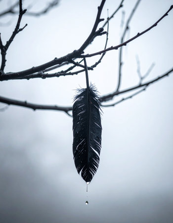 A single black feather, heavy with a morning dewdrop, hangs silently from a bare branch.の素材
