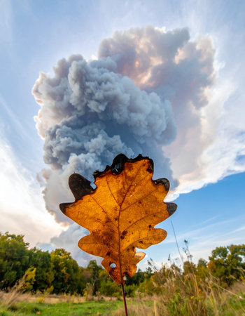 A single, vibrant autumn oak leaf is held up against a dramatic sky filled with a massive plume of dark smoke from a distant wildfire.の素材