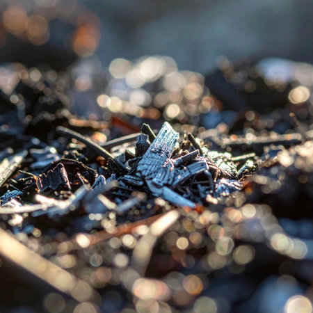 A macro photograph capturing the intricate and delicate texture of burnt ashes and debris.の素材