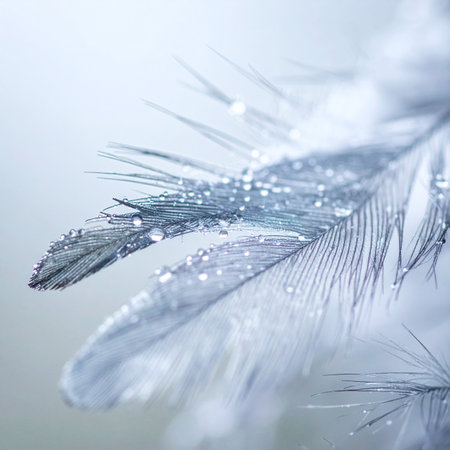A macro photograph captures the exquisite detail of a soft feather adorned with tiny, sparkling water droplets.の素材