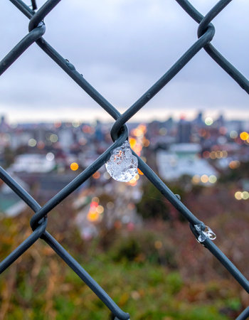 A single piece of ice clings to a chain-link fence, a frozen moment against the soft, out-of-focus lights of a distant city.の素材