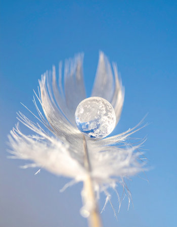 A perfect, crystal-clear water droplet is delicately balanced on the soft tendrils of a white feather or seed, captured in a stunning macro view against a serene blue sky.の素材