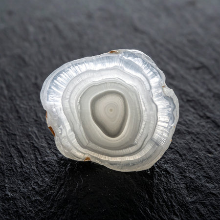 A close-up view of a beautifully polished white agate slice, revealing its intricate concentric bands.の素材