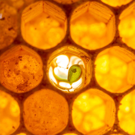 In a golden world of repeating patterns, a single honeycomb cell glows with a secret.の素材