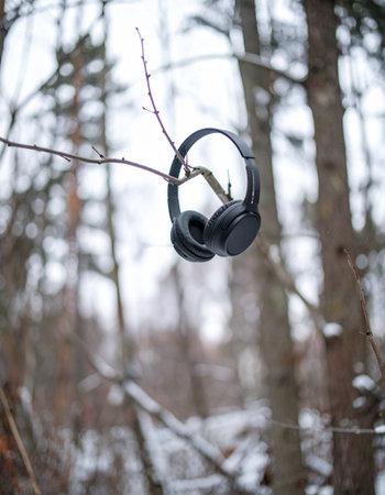 A pair of black headphones hangs forgotten on a bare branch in a quiet winter forest.の素材