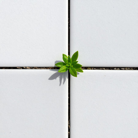 A single, vibrant green sprout pushes through the dark grout lines of clean white tiles, a powerful symbol of resilience, hope, and nature's unstoppable will to grow against all odds.の素材