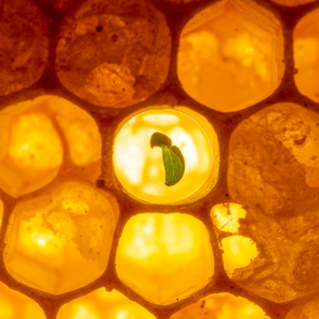 In a world of golden uniformity, a single cell illuminates with a miraculous secret: the promise of new life.の素材