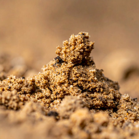 A detailed macro photograph captures the intricate texture of a small mound of sand, creating a miniature landscape.の素材