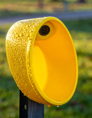A close-up of a yellow pedestrian crosswalk signal housing, glistening with fresh morning dew.の素材