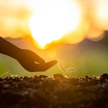 In the warm, golden light of a setting sun, a gentle hand carefully shelters a tiny sprout.の素材