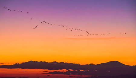 A flock of birds flies in perfect formation across a breathtaking sunset sky, their silhouettes stark against the vibrant orange, pink, and purple hues.の素材