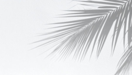The gentle shadow of a tropical palm leaf falls across a clean, white surface, creating a serene and minimalist scene.の素材