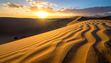 As the sun dips below the horizon, it casts a warm, golden glow across the endless expanse of rippled sand dunes.の素材