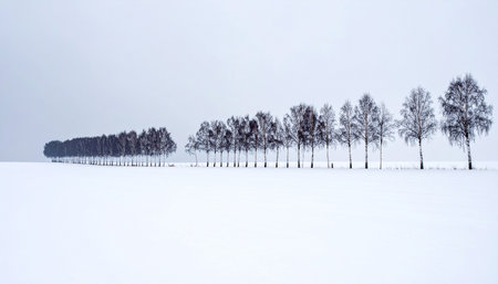 A serene and minimalist winter panorama unfolds under a soft, overcast sky.の素材