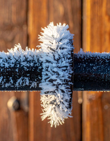 As the winter sun rises, its golden light catches the intricate patterns of hoar frost that have formed overnight on a cold metal gate latch.の素材