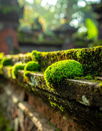 In the quiet light of a hidden garden, vibrant green moss carpets an ancient stone wall.の素材