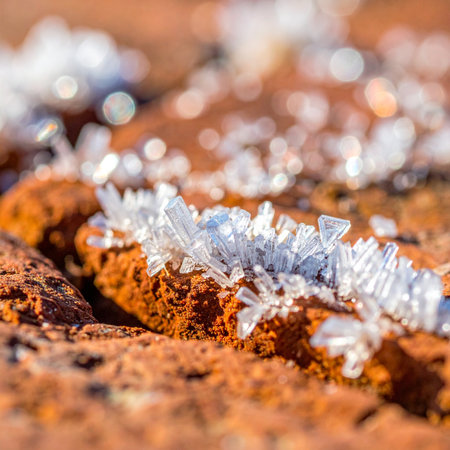 In a surprising display of nature's contrast, delicate, spiky ice crystals form on the warm-toned red rock of an arid landscape.の素材