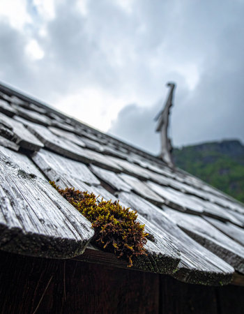 Close-up detail of a weathered wooden shingle roof, where time and nature converge.の素材