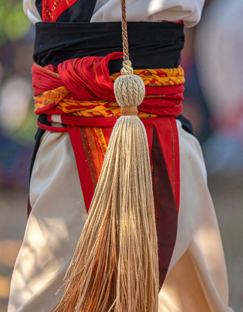 A close-up view captures the exquisite craftsmanship of a traditional costume.の素材