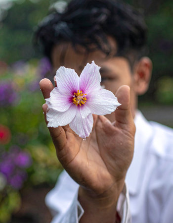 A young man gently holds a single, delicate cosmos flower, offering its simple beauty to the viewer.の素材