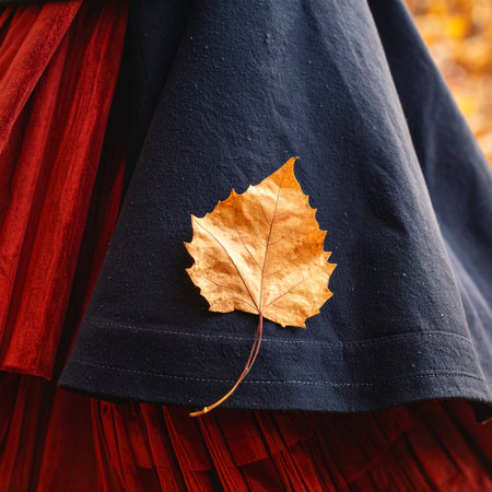 A single, golden birch leaf has gently fallen, coming to rest on the rich fabric of a woman's skirt.の素材