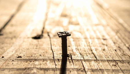 A single, weathered nail stands firm in an old wooden plank, its long shadow cast by the bright morning sun.の素材