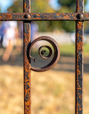 A close-up view captures the intricate detail of a decorative scroll on an old, weathered iron gate.の素材