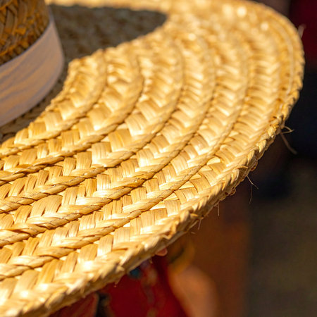 Intricate braids of golden straw form the wide brim of a classic sun hat, its texture catching the warm light.の素材