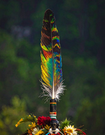 A single, brilliantly colored feather stands tall, a vibrant symbol of ancient traditions and spiritual connection.の素材