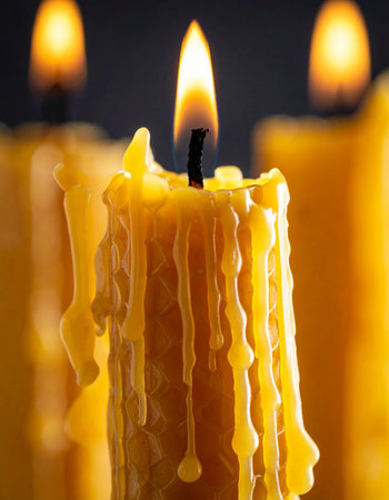 A single beeswax candle burns brightly against a dark background, its warm flame casting a gentle, ambient glow.の素材