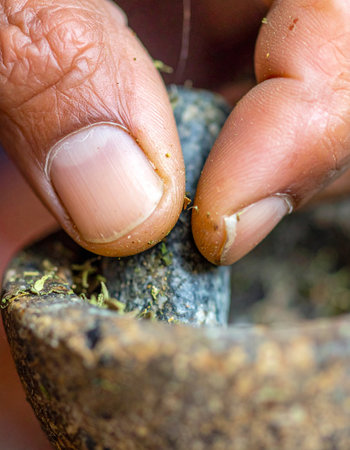 A close-up view captures the timeless act of preparing natural remedies.の素材