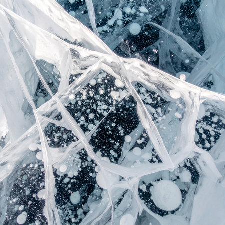 A mesmerizing close-up view reveals the intricate beauty of nature's art.の素材