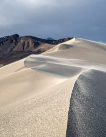 A gentle wind sculpts the soft, curving ridges of a vast sand dune, creating a serene and ever-changing landscape.の素材