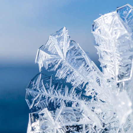 A stunning macro photograph captures the intricate and delicate beauty of ice crystal formations.の素材