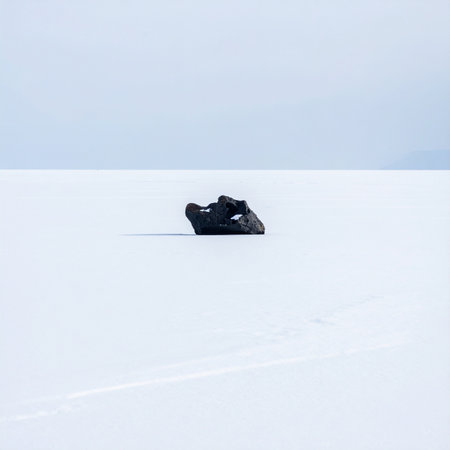 A single, dark volcanic rock rests in quiet solitude upon an endless expanse of white.の素材