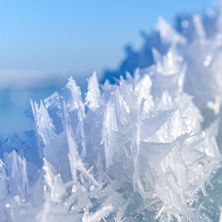 In the quiet stillness of a frigid morning, intricate ice crystals grow in sharp, delicate formations.の素材