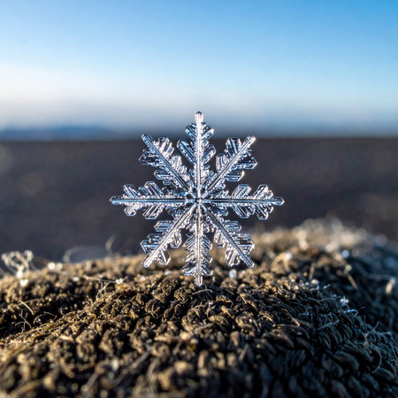 A stunning macro photograph captures the ephemeral beauty of a single, perfectly symmetrical snowflake.の素材